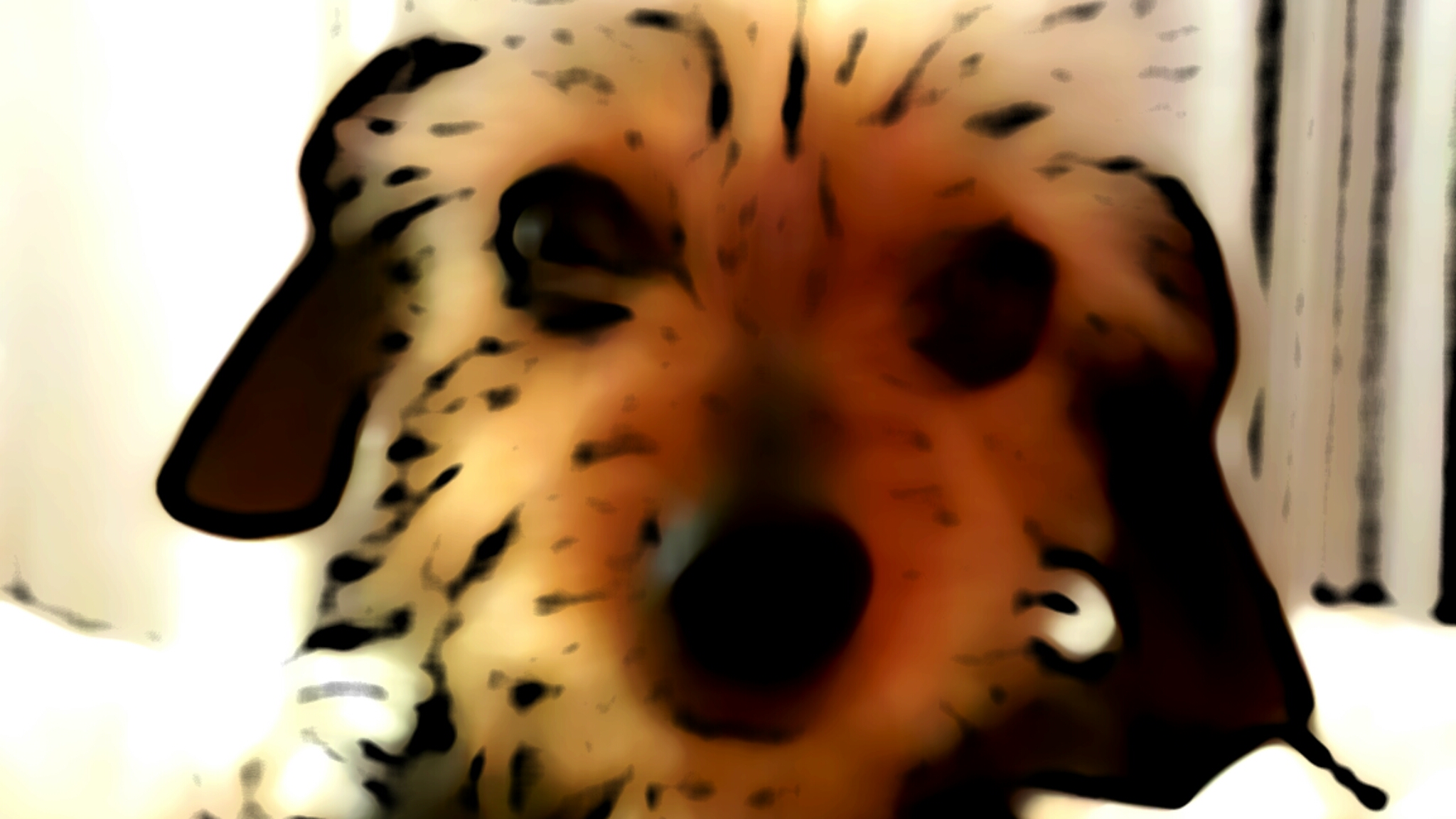 Picsart banner for @buys