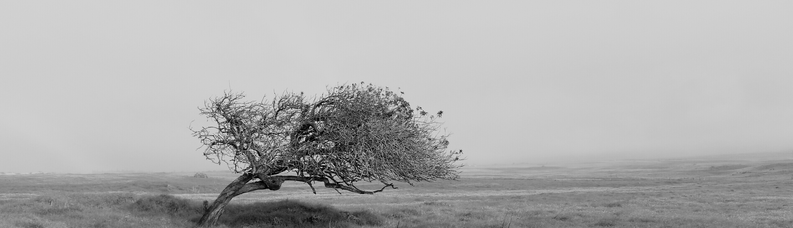 Monochrome Lightandshadow Image By Alleycatfinds